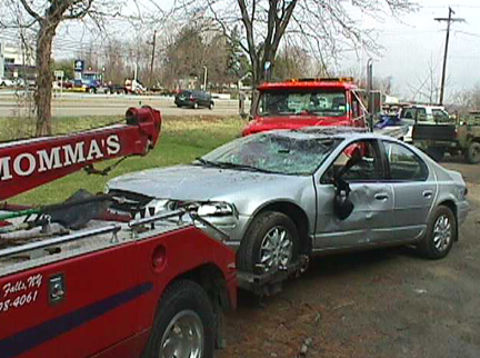 Rollover Accident Deer