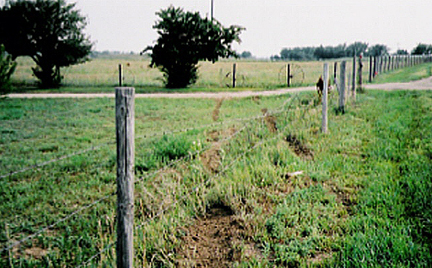 Field dui crash site