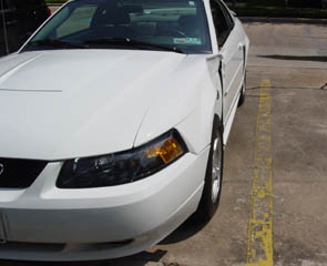 Mustang Crash: Hit By Katrina Refugee 