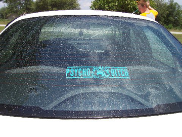 Rear View: Psycho Bitch Crash