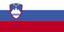Slovenia crash