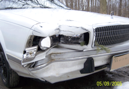 Buick Century Swerves to Avoid Deer Lake Walkhill Road Vernon NJ 