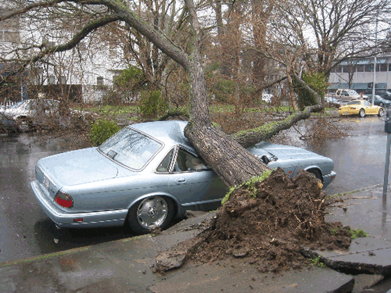 Jaguar Accident