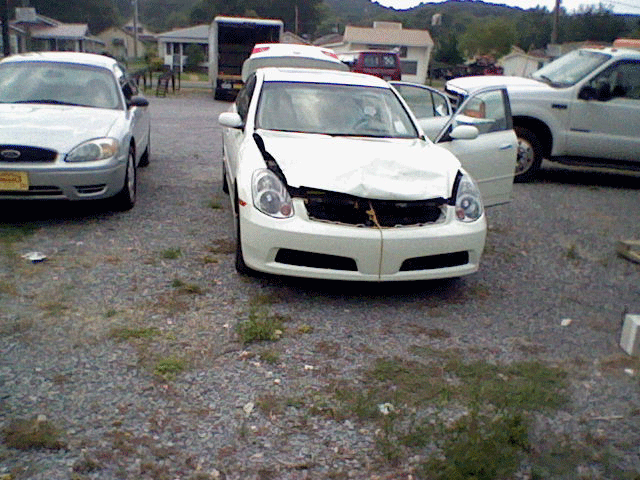 Deer Crash