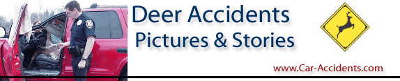 Deer Accident Stats