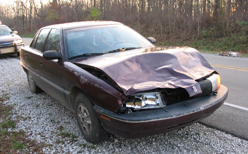 Deer Killed by Car