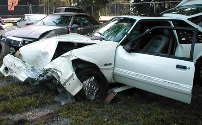 Tree Collision Crash