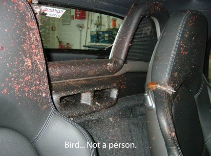 Porsche Crashed into Bird