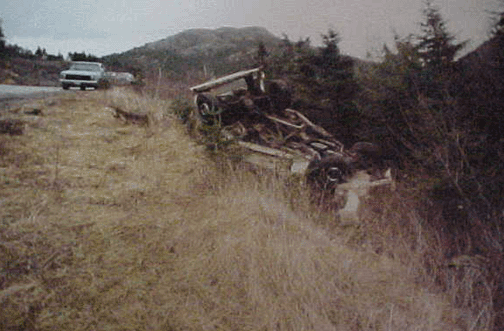 Firebird Crash: Fall Over 150 Cliff Montana