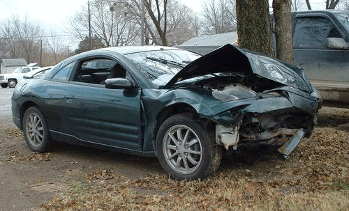 Deer Crash auto